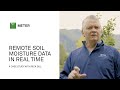 Teros 12  remote soil moisture data in real time