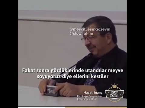 Hayati Inanç Hz.Ayşe'nin Peygamber Efendimize Şiiri