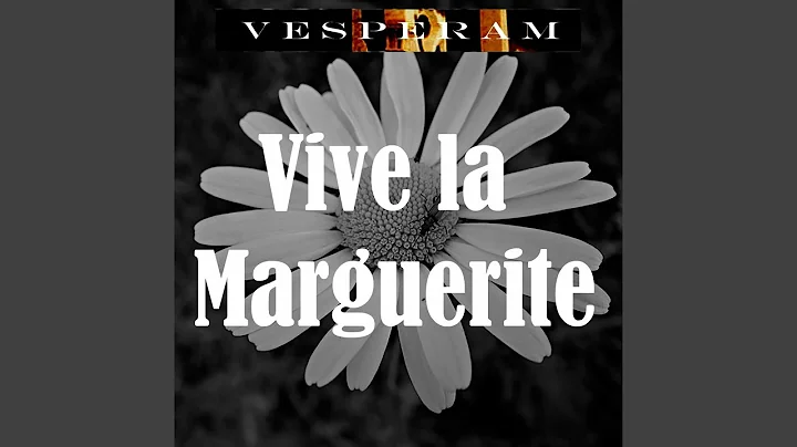 Viva la Marguerite