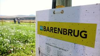 Alex Swart, technical marketer at Barenbrug, on Commander Chicory & Captain Plantain