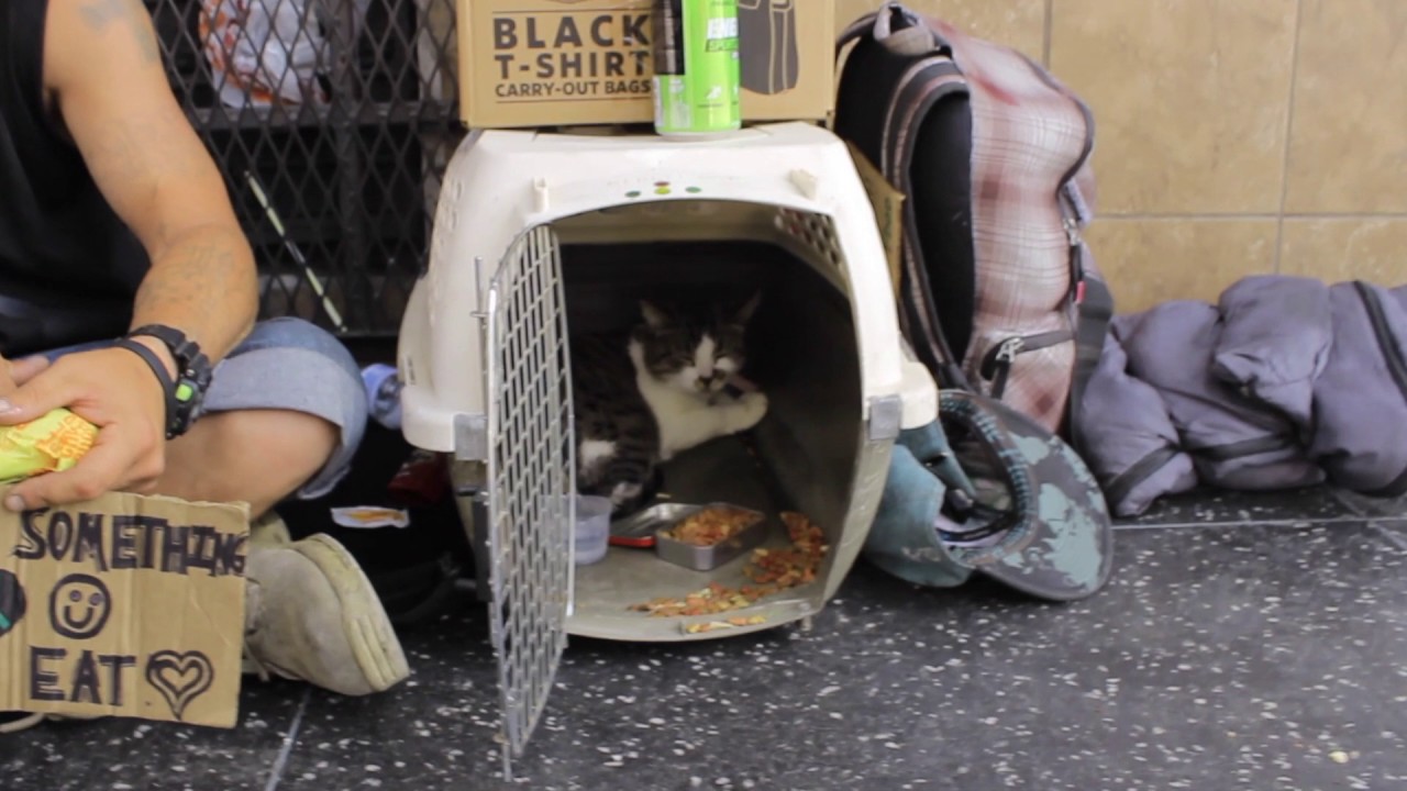 best artist logo Feeding The Homeless (W/ H2balla)