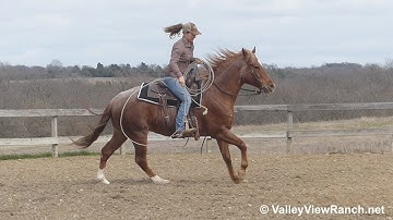 Boon Cat Bodee - swinging the rope! - ValleyViewRanch.net