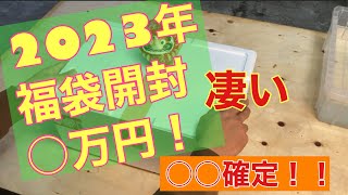 (メダカ)2023年福袋○万円でここまで！？最高だ！！