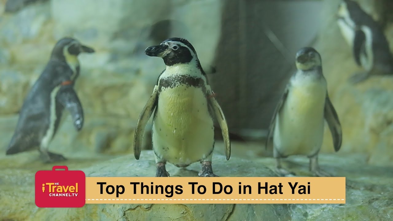 Explore Hat Yai with THAI Smile Airways