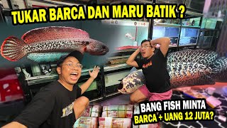 DEAL?? CHANNA BARCA + 12 JUTA TUKAR DENGAN MARU BATIK JUMBO REOG @BANG FISH
