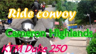 Convoy ride 2024 | Cameron Highlands small cc vs superbike #cameronhighlands #rideconvoy