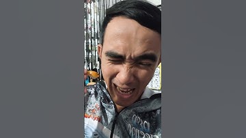 Mồi câu cá lóc giá rẻ FT mini V1 dành cho anh em đam mê lure lóc