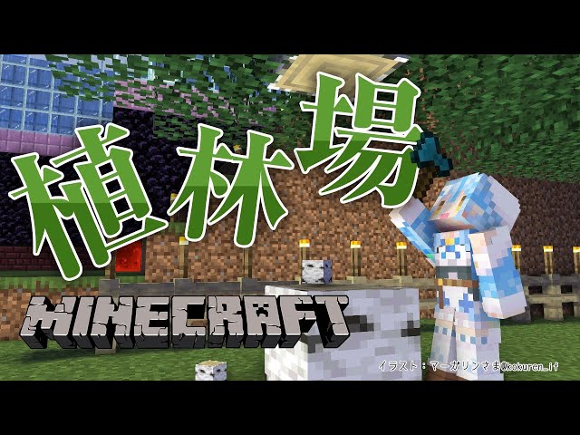 【Minecraft】水流式の植林場、仕上げていく～！【雪花ラミィ/ホロライブ】のサムネイル