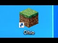 playing ohio in minecraft💀