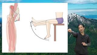 『膝関節拘縮評価と運動療法』の書籍内容の説明動画：監修：林典雄　執筆：橋本貴幸