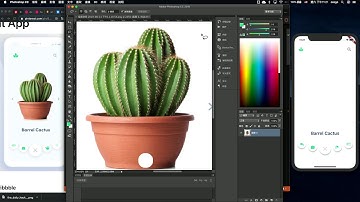 [Short Version] Flutter Planting cactus