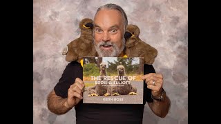 The Rescue of Eddie & Elliott - A Bald Eaglet Adventure by Keith's Frame Of Mind 651 views 8 months ago 11 minutes, 46 seconds