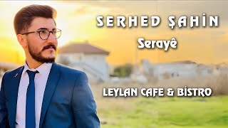 Serhed Şahin-Serayê Resimi