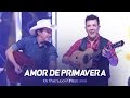 Di Paullo & Paulino - Amor de Primavera - "DVD Não Desista"