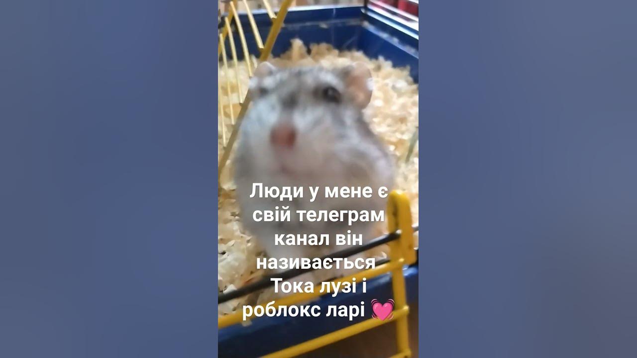 я туди знімаю - YouTube