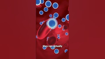 Why Doctors Flick The Syringe 💉