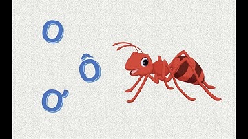 Vietnamese for everyone, lesson 3: Vietnamese vowels, O, Ô, Ơ