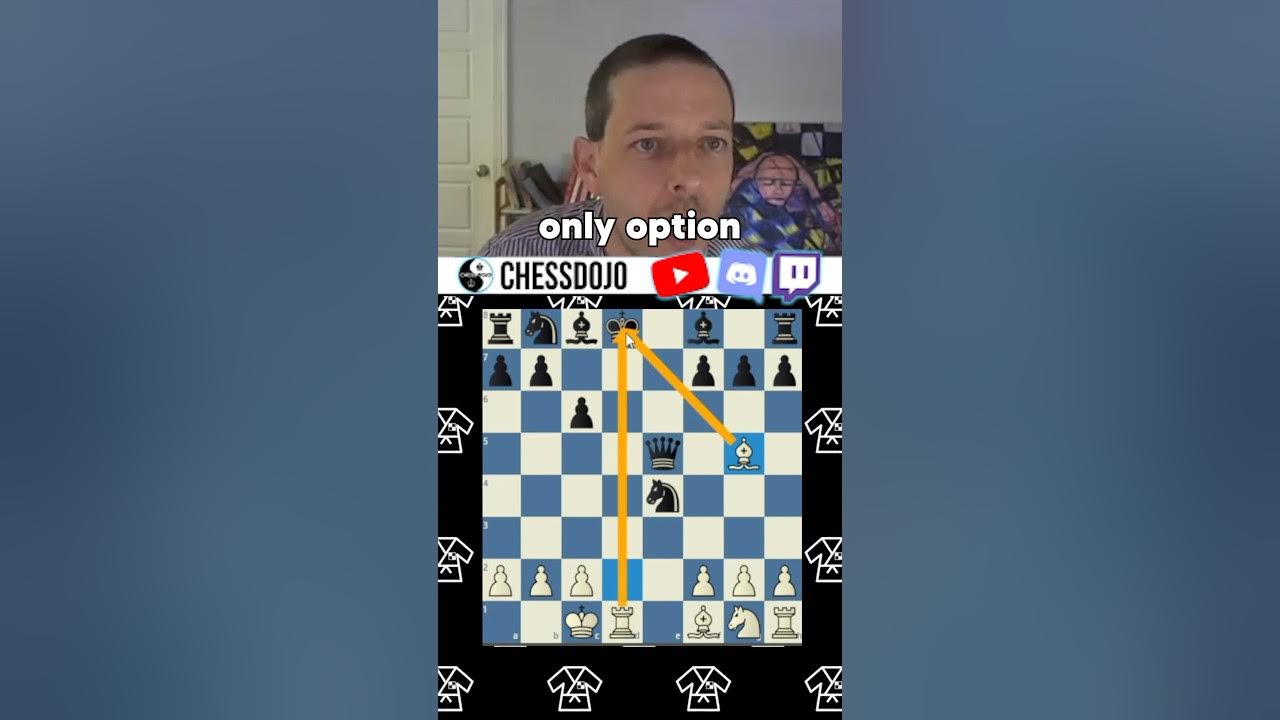 Double Checkmate! 