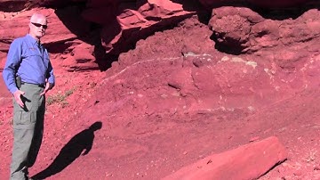 Walking Trips and the Rest Step