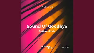 The Sound of Goodbye (Radio Edit)