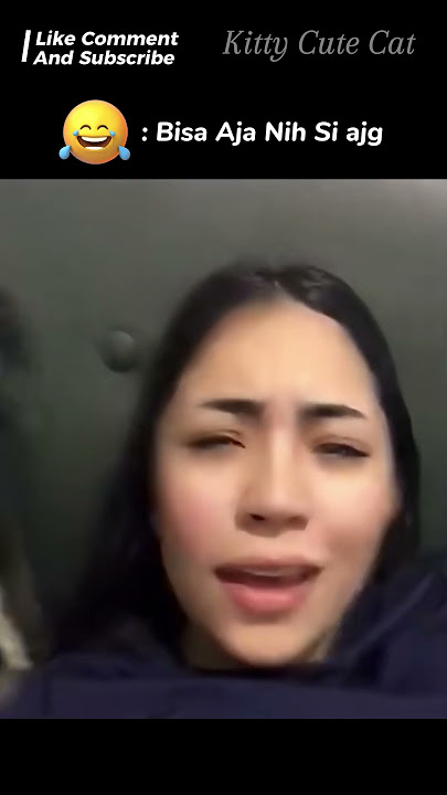 Si anjing Ikuti Trend Viral Tiktok ! 🐾🐶 #shorts #viralshorts #anjing #dog #dogs #pets