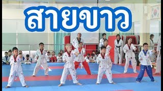 สายขาว สอบเลื่อนสายขึ้นสายเหลือง The Kick Taekwondo ศรีนครินทร์