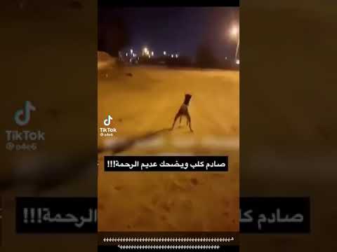 عديم الرحمة ترند السعودية  انترنت غير محدود في مصر