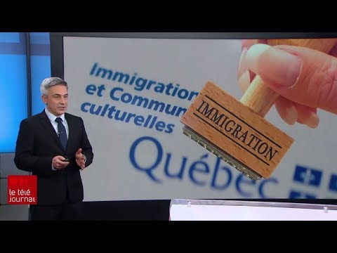 Quels Sont Les Différents Types De Statut D’Immigration D’Emploi