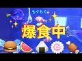 海水魚爆食中❗️ラクトフェリンの餌大人気✨my marin aquarium MOAMOAちゃんねる