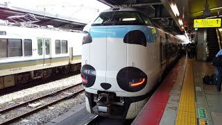 287系HC601編成 パンダくろしお 天王寺到着