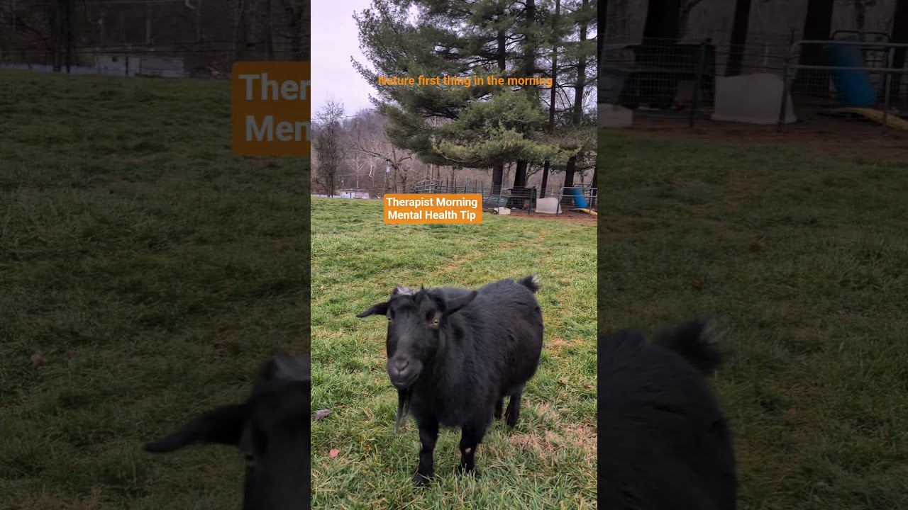 Therapist Morning Mental Health Tip 