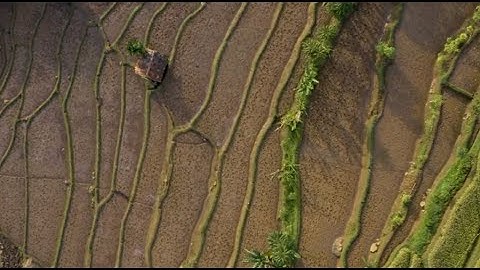 Delivering on our renewable energy strategy