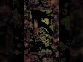 Hypercycle – Let There Be Artificial Life