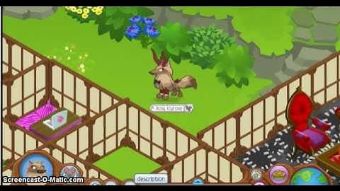HOW TO HACK ANYONE IN ANIMAL JAM! (WORKING 2017)