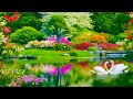 SLEEPING IN THE MAGIC FOREST - Deep Sleep Music - Beautiful Nature with Soothing Relaxing Music.