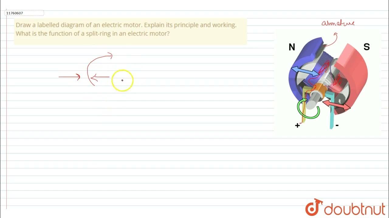 Draw a labelled diagram of an electric motor. Explain its principle and