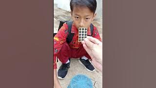 adobsi burung kecil #davidsunairi