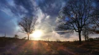Alchemorph - New Day