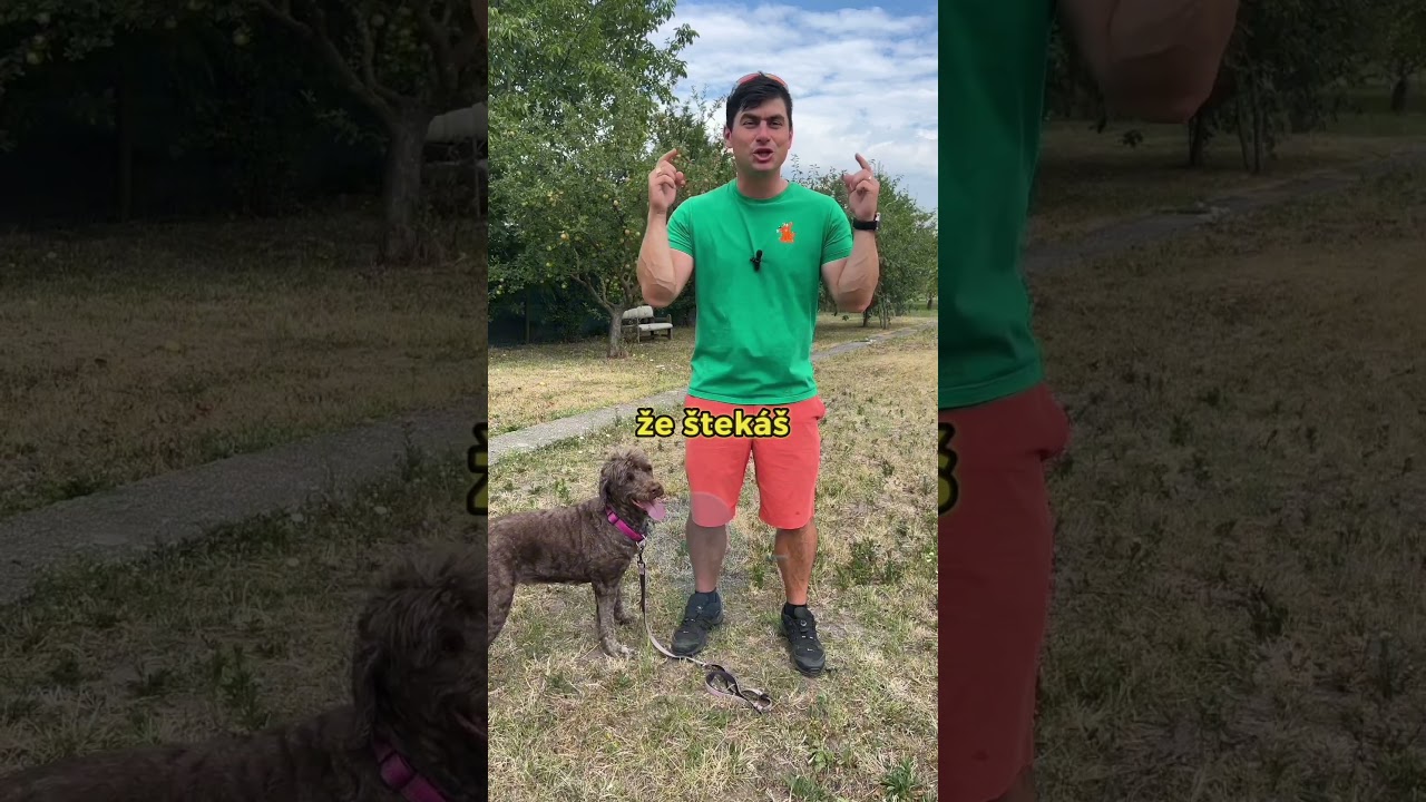 Nekric ked pes steka