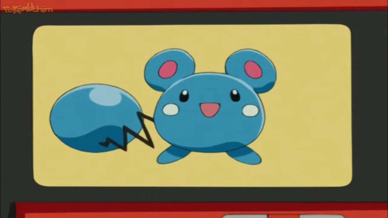 Azurill - #298 -  Pokédex