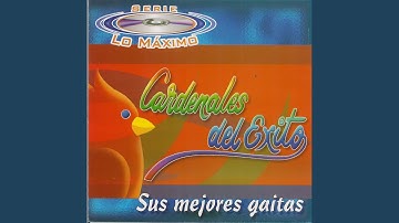 Entre Palos y Alegría