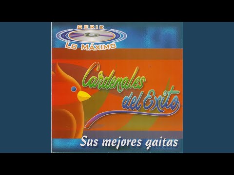 Entre Palos y