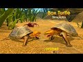 【Box Turtle Simulator】亀飼育者が初見で遊んでみた！Part1【Normal Boss編】