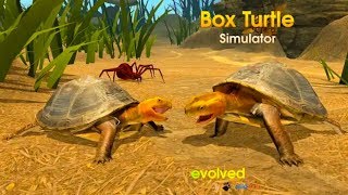 【Box Turtle Simulator】亀飼育者が初見で遊んでみた！Part1【Normal Boss編】