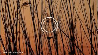 Download lagu Nihil Young - Finally Here (Extended Mix) [Zerothree]