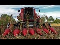 Mais Dreschen 2022 | CASE IH 2388 Axial-Flow