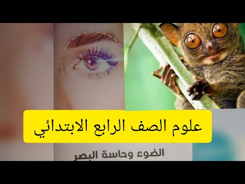 علوم الصف الرابع الابتدائي المنهج الجديد الضوء وحاسة البصر الجزء الاول