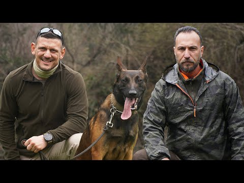 Video: Köpek İçin Görev: Deneyimden Öğrenmek
