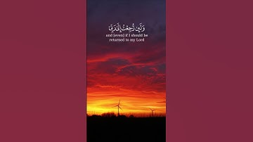 ايات قرانية ماهر المعيقلي سورة فصلت قران