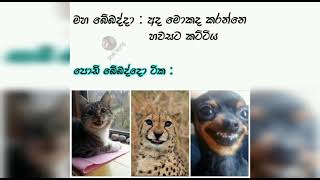 Fb Funny Post Sinhala Joke Post Nittawa